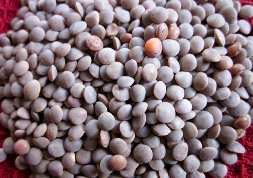BLACK MASOOR .500GM