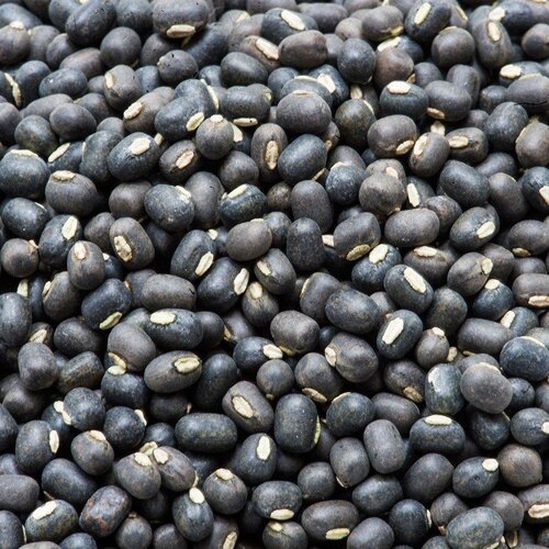 URAD SABUT .500GM
